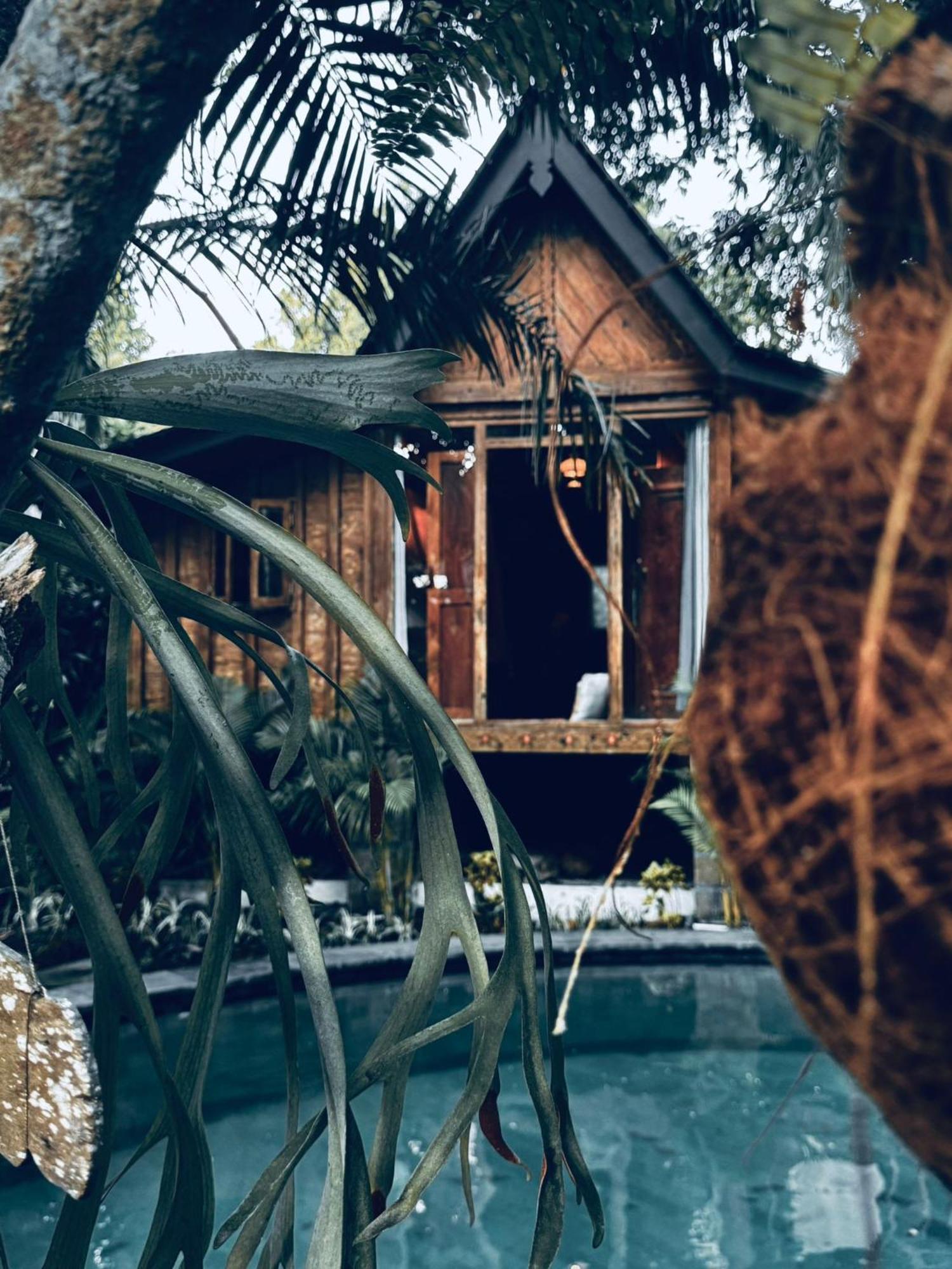 Resort Jungleroom Canggu Luaran gambar